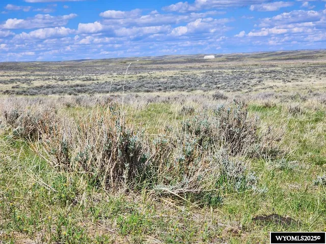 $29,497 | 127 Stuckenhoff Street, Casper, WY 82601