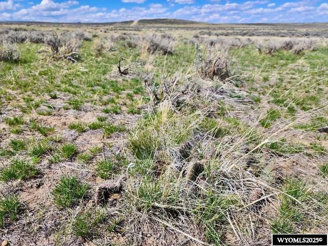 $29,497 | 127 Stuckenhoff Street, Casper, WY 82601