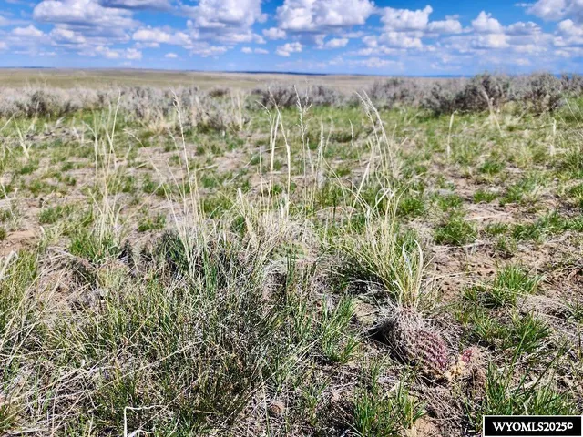 $29,497 | 127 Stuckenhoff Street, Casper, WY 82601