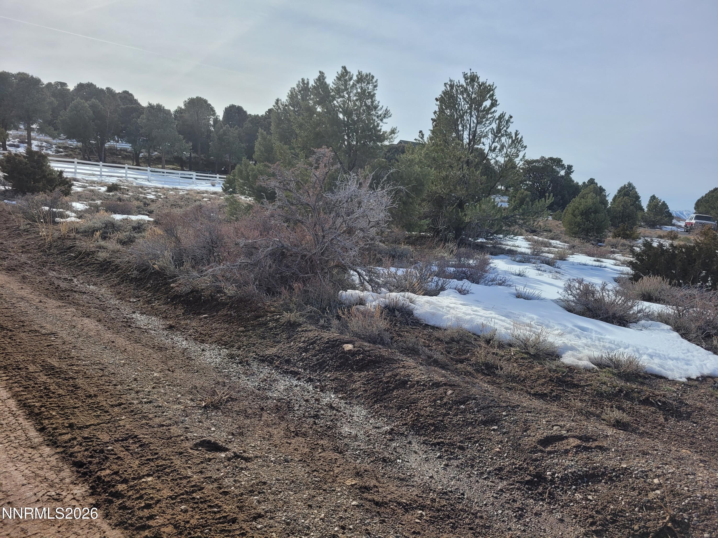 a view of a forest with trees in the background