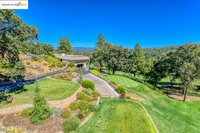 a garden with trees in the background