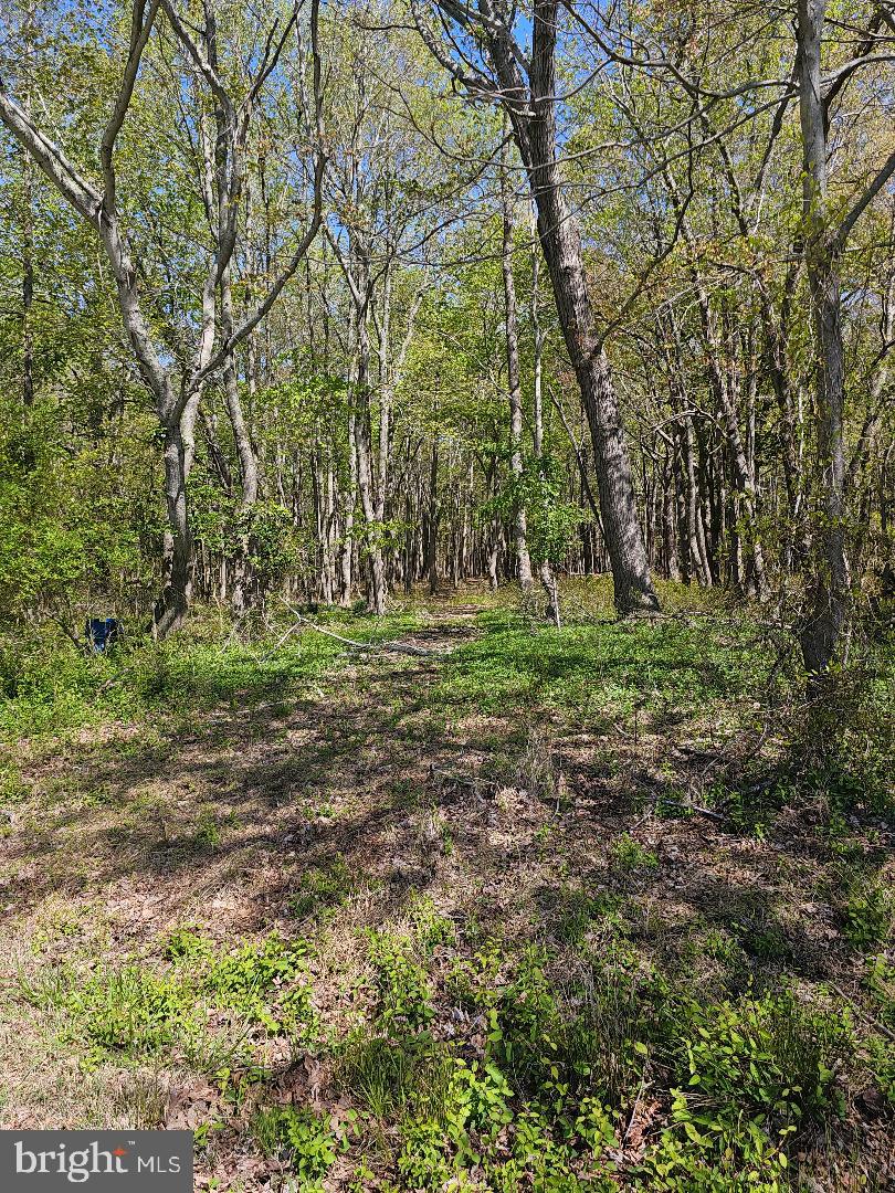 5071 Wayman Road Marion Station, MD 21838 - Photo 1 of 3