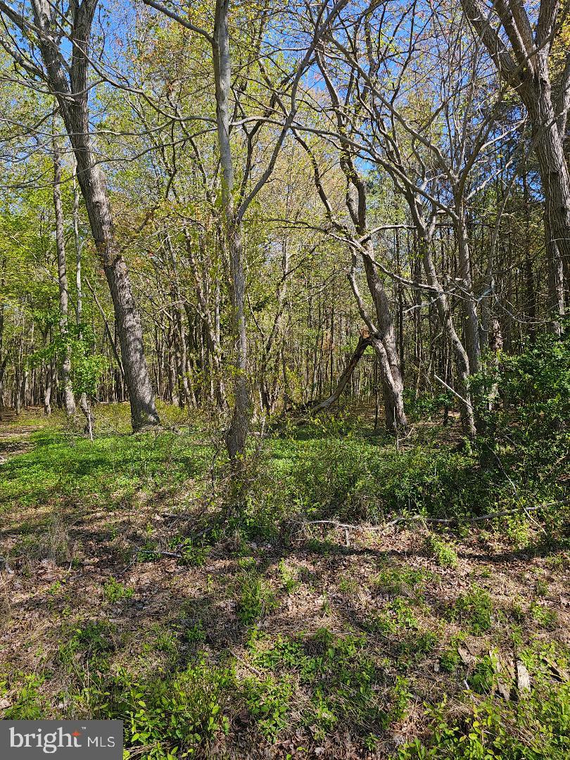 5071 Wayman Road Marion Station, MD 21838 - Photo 2 of 3