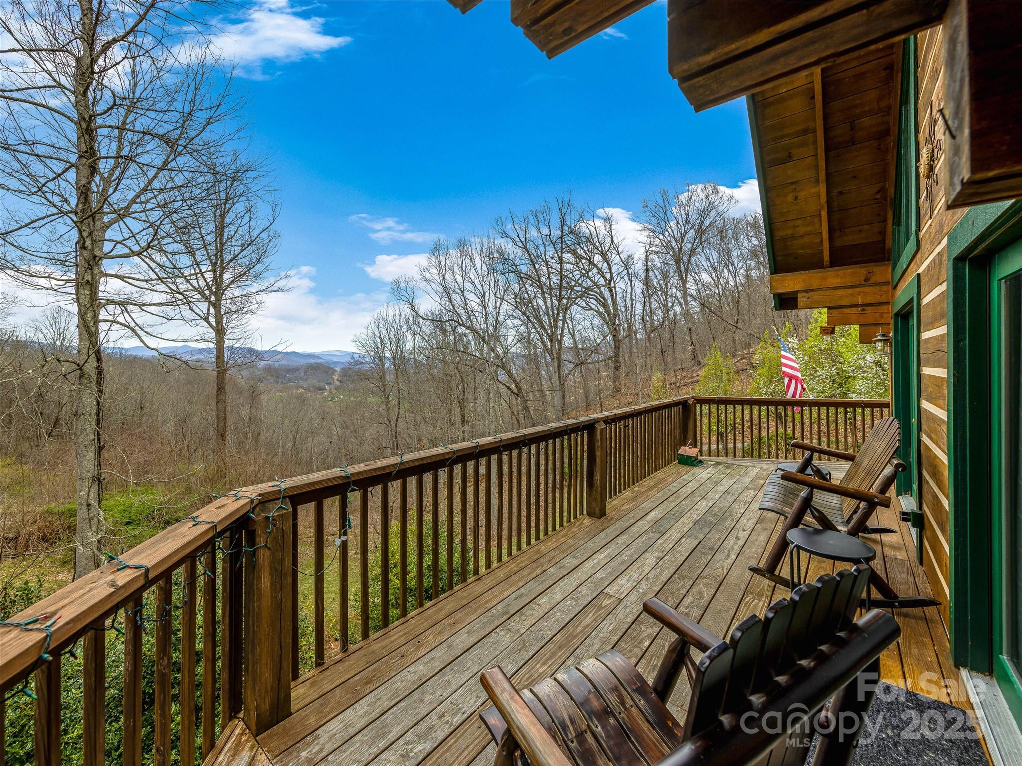 116 Cracker Trail Clyde, NC 28721 - Photo 28 of 35
