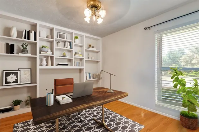 a living room with furniture and a potted plant