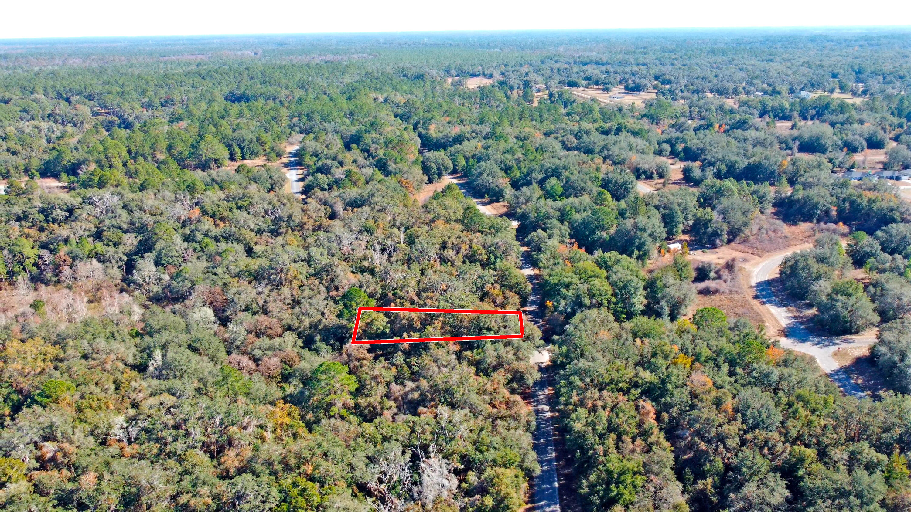 717 East Noah Lane Citrus Springs, FL 34434 - Photo 14 of 23 an aerial view of a houses with a lush green hillside