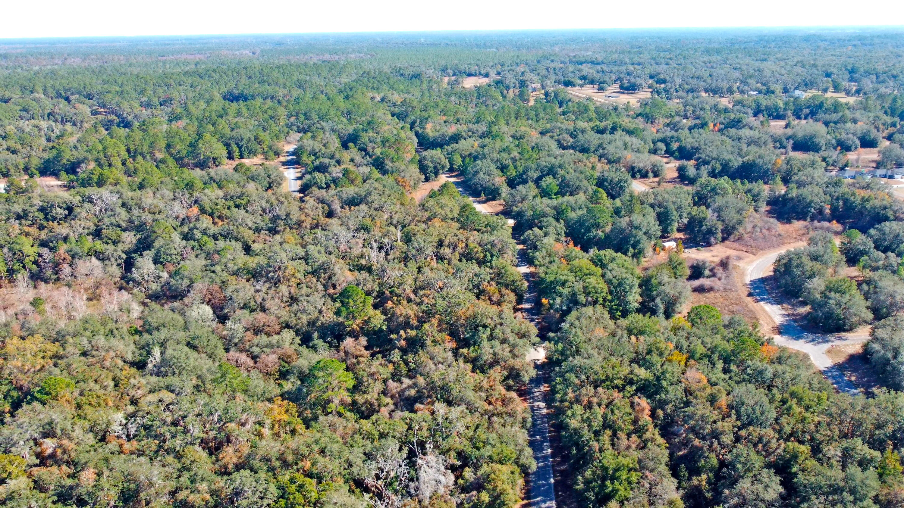 717 East Noah Lane Citrus Springs, FL 34434 - Photo 15 of 23 an aerial view of a houses with a lush green hillside