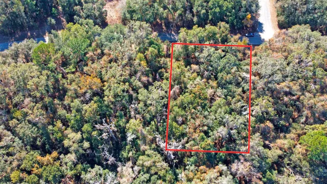 a view of a pathway with a tree