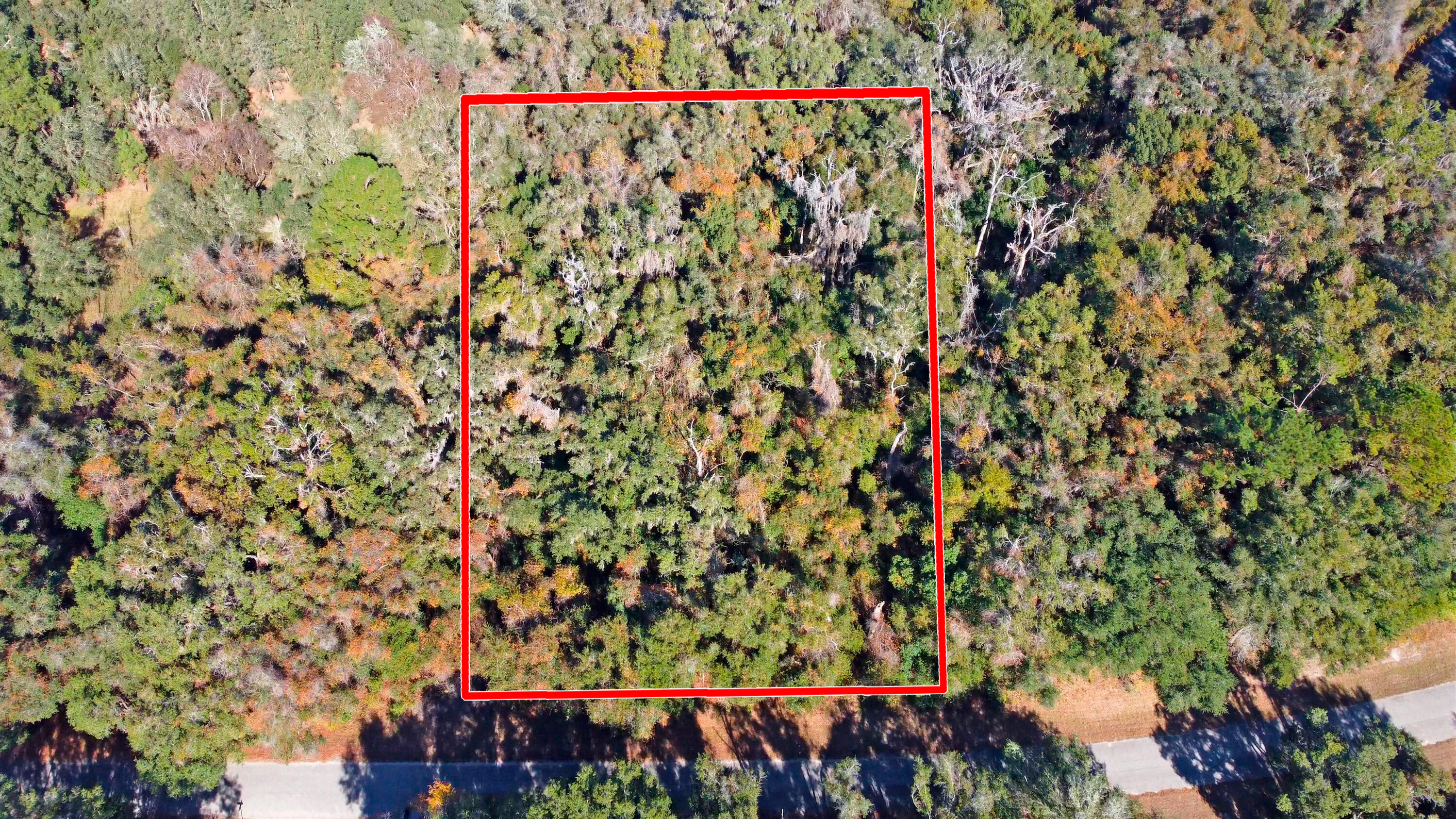 717 East Noah Lane Citrus Springs, FL 34434 - Photo 20 of 23 a view of a pathway with a tree