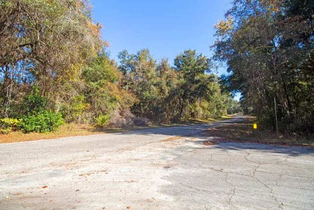 a view of a yard with large trees