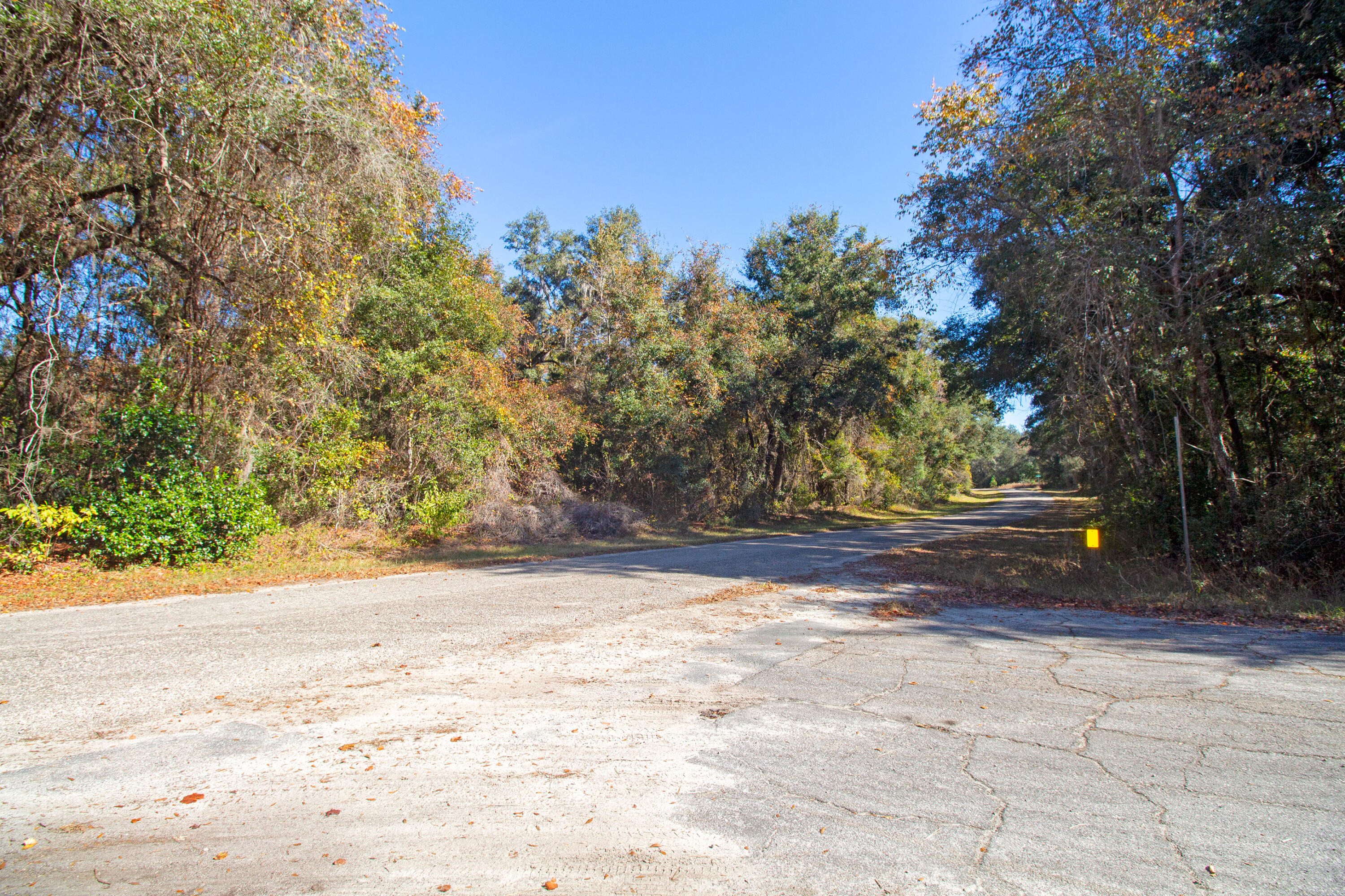 717 East Noah Lane Citrus Springs, FL 34434 - Photo 4 of 23 a view of yard