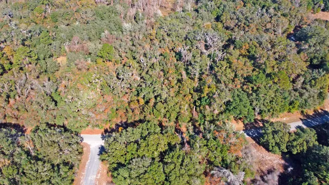 an aerial view of residential house with green space and trees all around