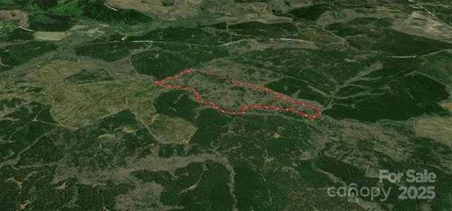 a view of a lush green space