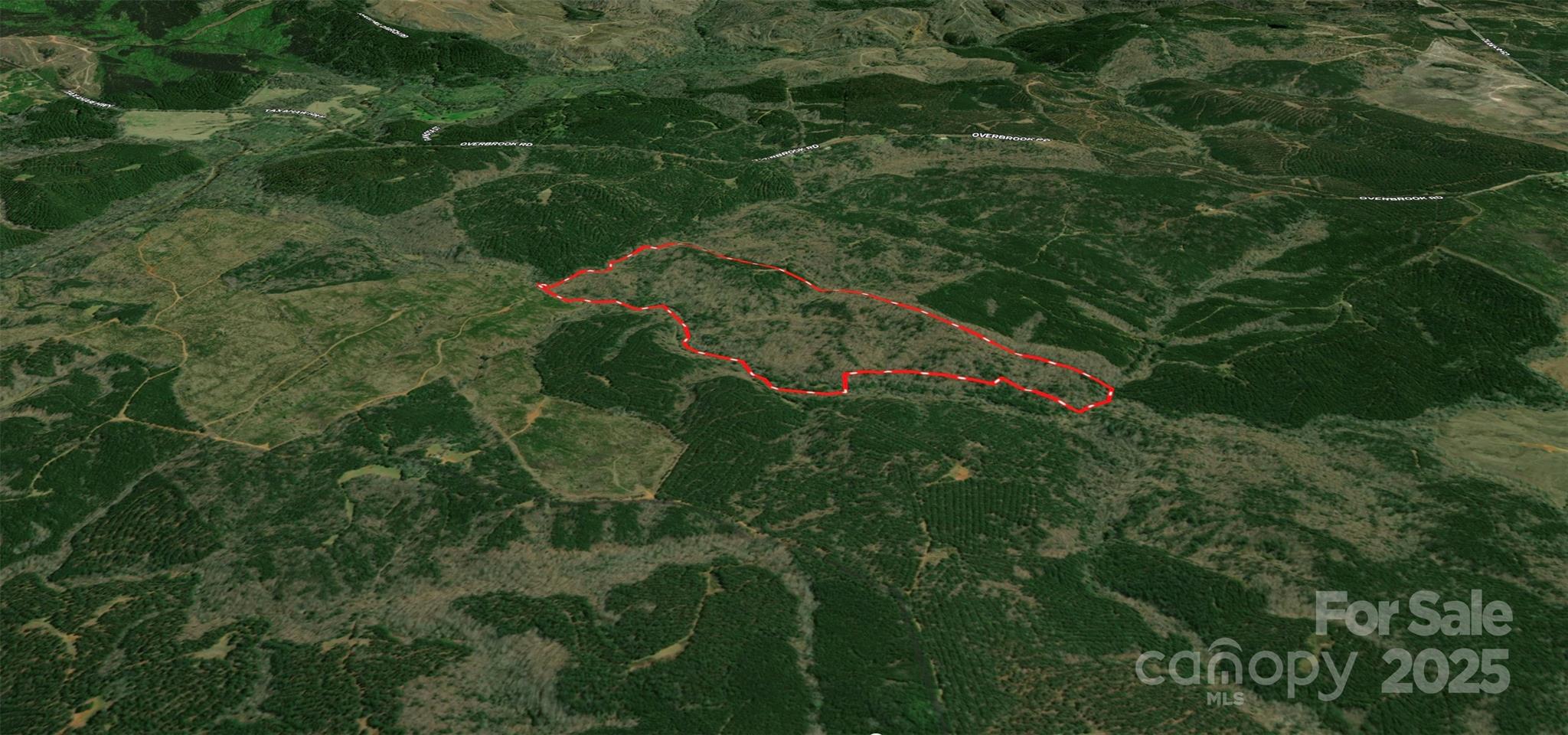 0 Overbrook Road Lancaster, SC 29720 - Photo 1 of 12