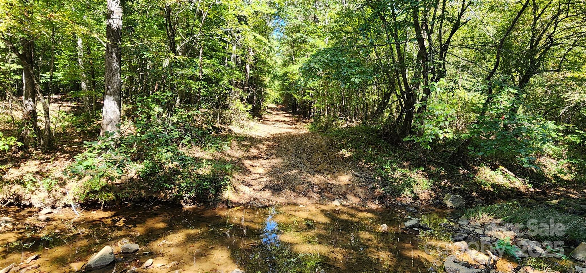 0 Overbrook Road Lancaster, SC 29720 - Photo 11 of 12 a view of a tree