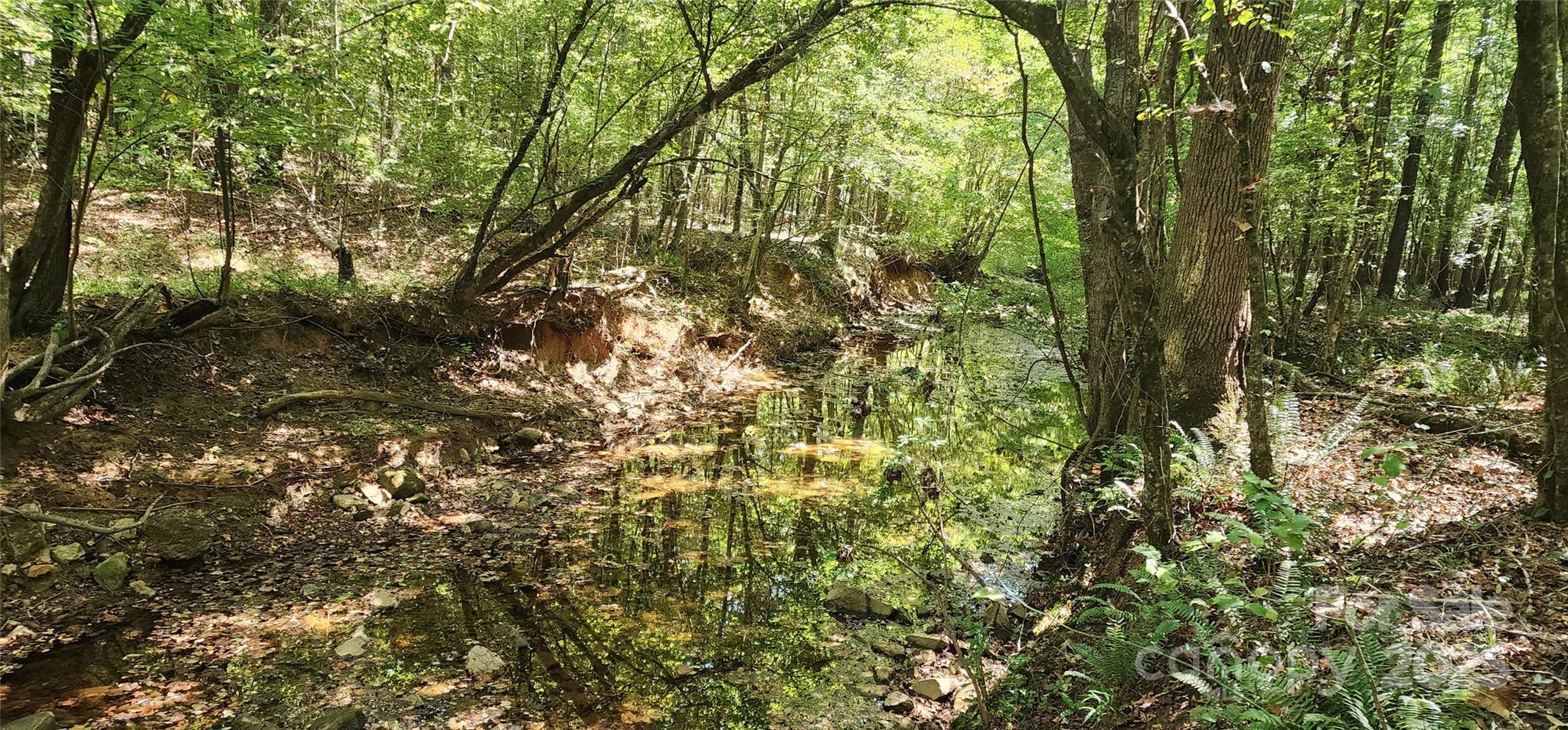0 Overbrook Road Lancaster, SC 29720 - Photo 9 of 12 a view of a yard