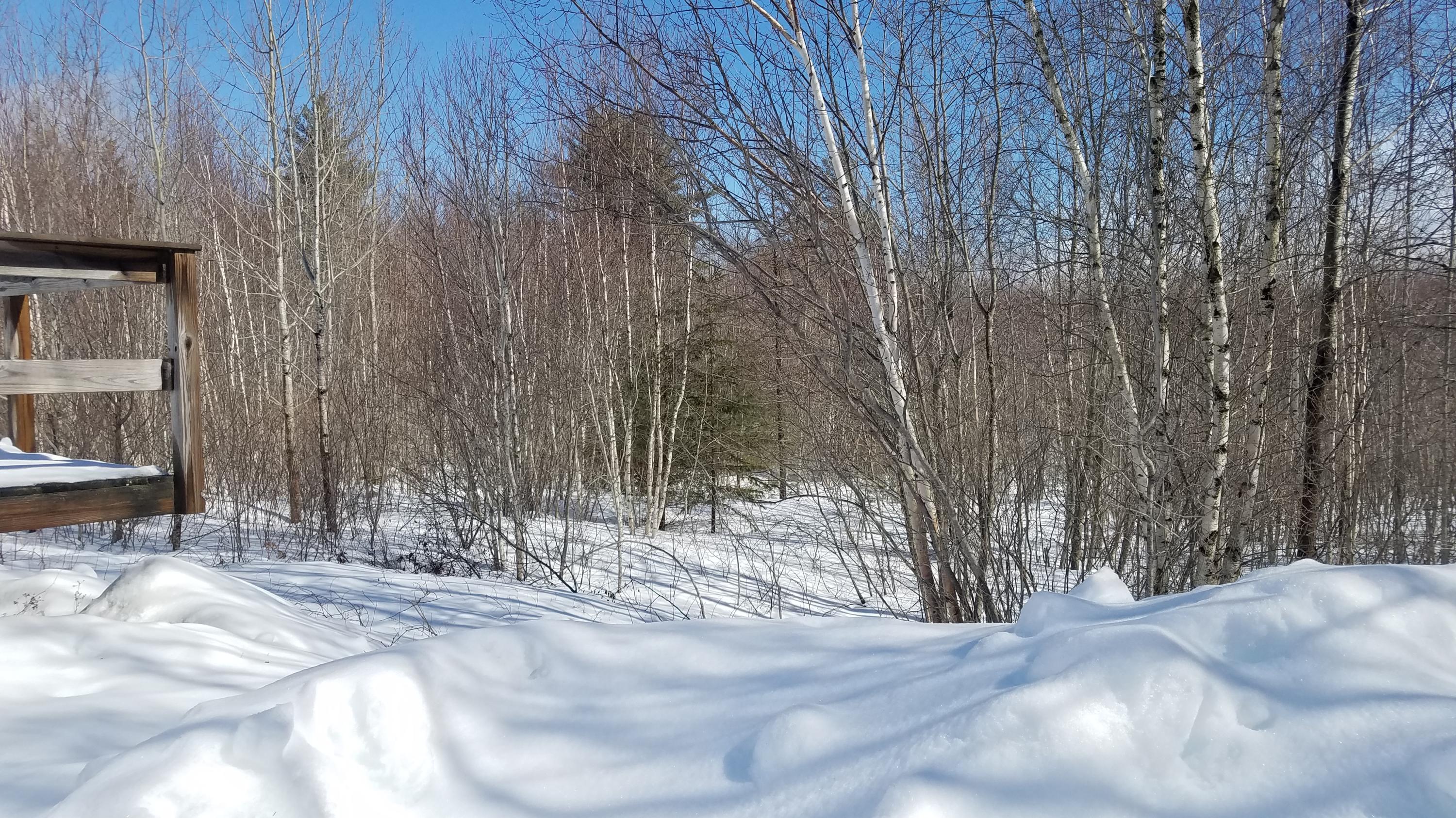 20 Dickey Hill Road Ellsworth, ME 04605 - Photo 6 of 21 20190311_113603