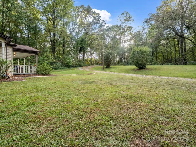 a view of a big yard with plants and large trees