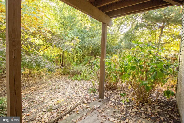 a view of a window with yard from a window