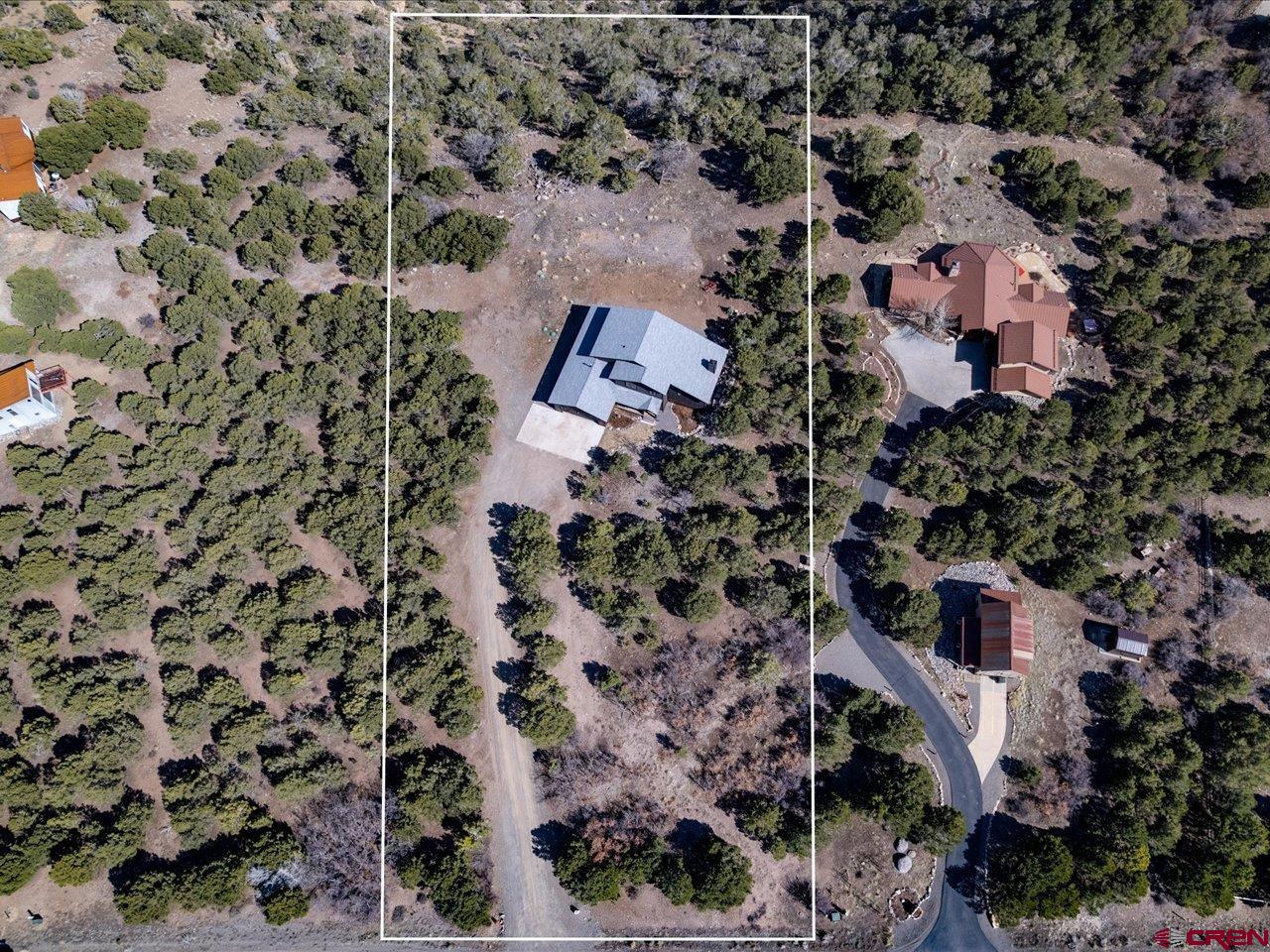 810 Pine Drive Ridgway, CO 81432 - Photo 32 of 36 an aerial view of house with outdoor space