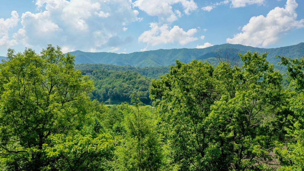 52 Bear Track Road Andrews, NC 28901 - Photo 2 of 38 a view of a bunch of trees