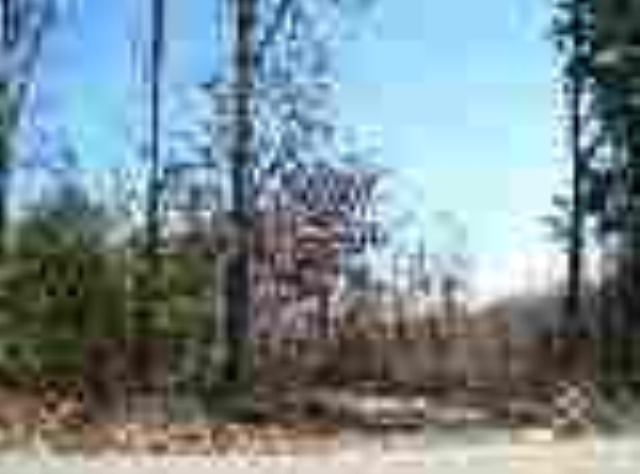 0 Wolf Creek Road Easley, SC 29640 - Photo 3 of 5