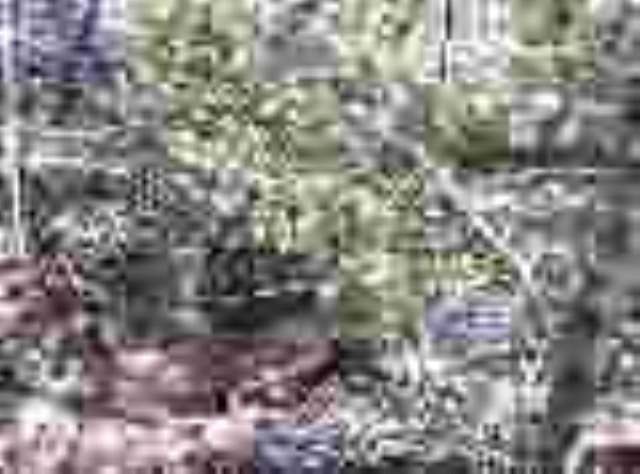 0 Wolf Creek Road Easley, SC 29640 - Photo 4 of 5