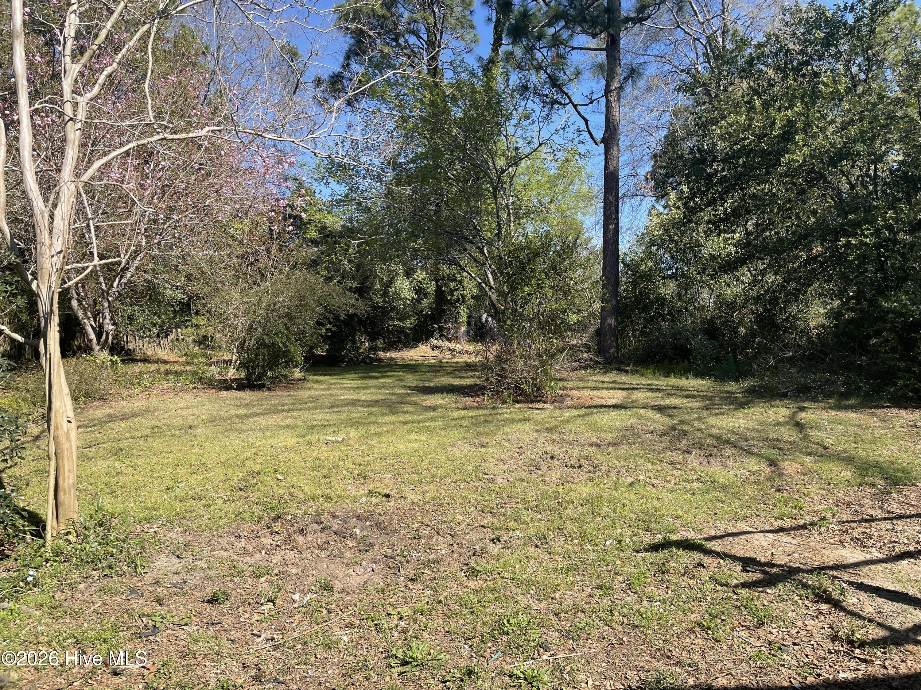 903 Valley View Street Aiken, SC 29801 - Photo 17 of 18