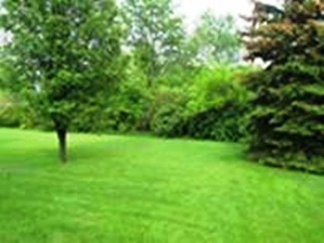 5383 Channing Road Indianapolis, IN 46226 - Photo 19 of 19 Gallery Image 19