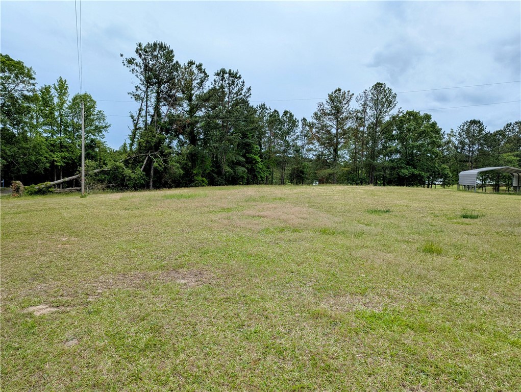 882 Horseshoe Road Honea Path, SC 29654 - Photo 4 of 7