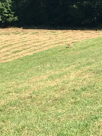 $3,399,000 | 536 R Highland Road, Tiverton, RI 02878