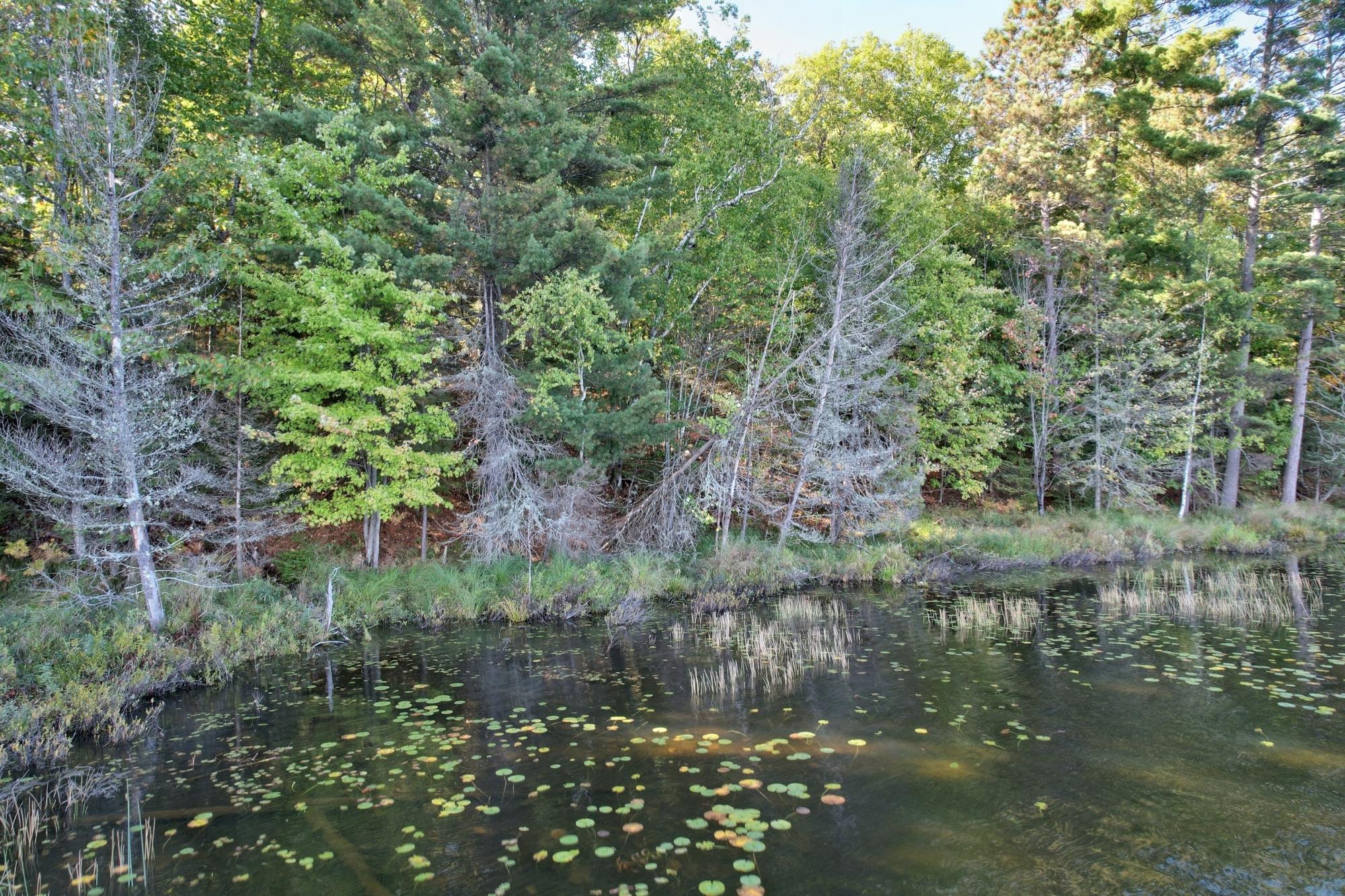 On Boygan Lake Road Land O'Lakes, WI 54540 - Photo 5 of 8 Gallery Image 5