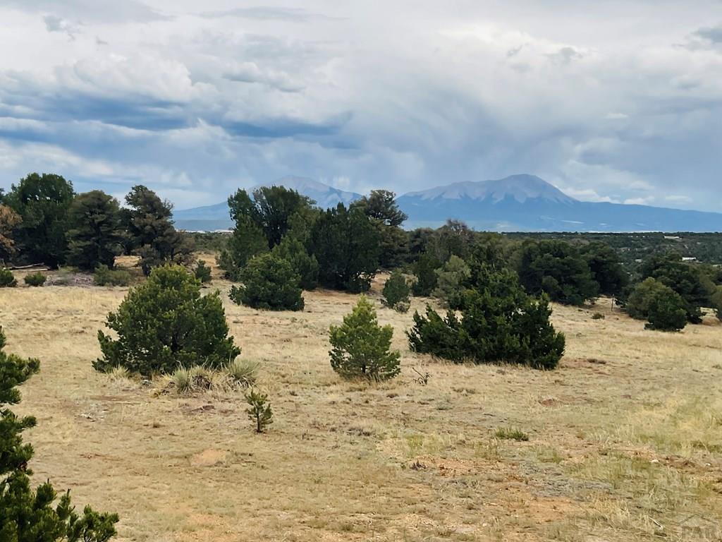 Lot 17 Navajo Ranch Walsenburg, CO 81089 - Photo 3 of 26 a view of beach and mountain