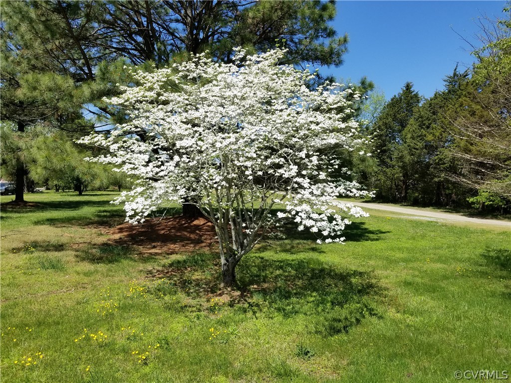 11530 Chula Road Amelia Court House, VA 23002 - Photo 6 of 27 Gallery Image 6