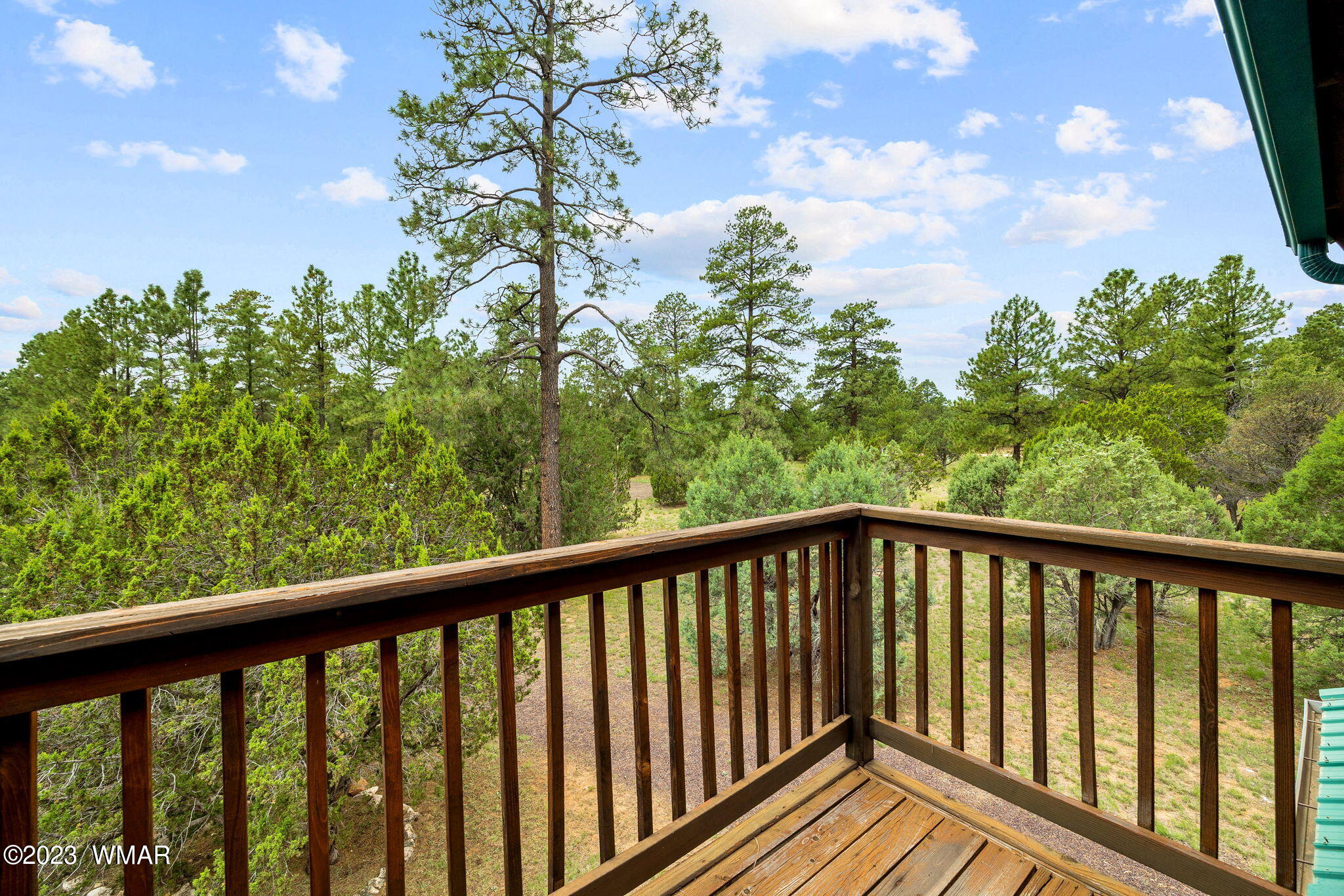 2231 Del Rio Circle Overgaard, AZ 85933 - Photo 19 of 36 a balcony with street view