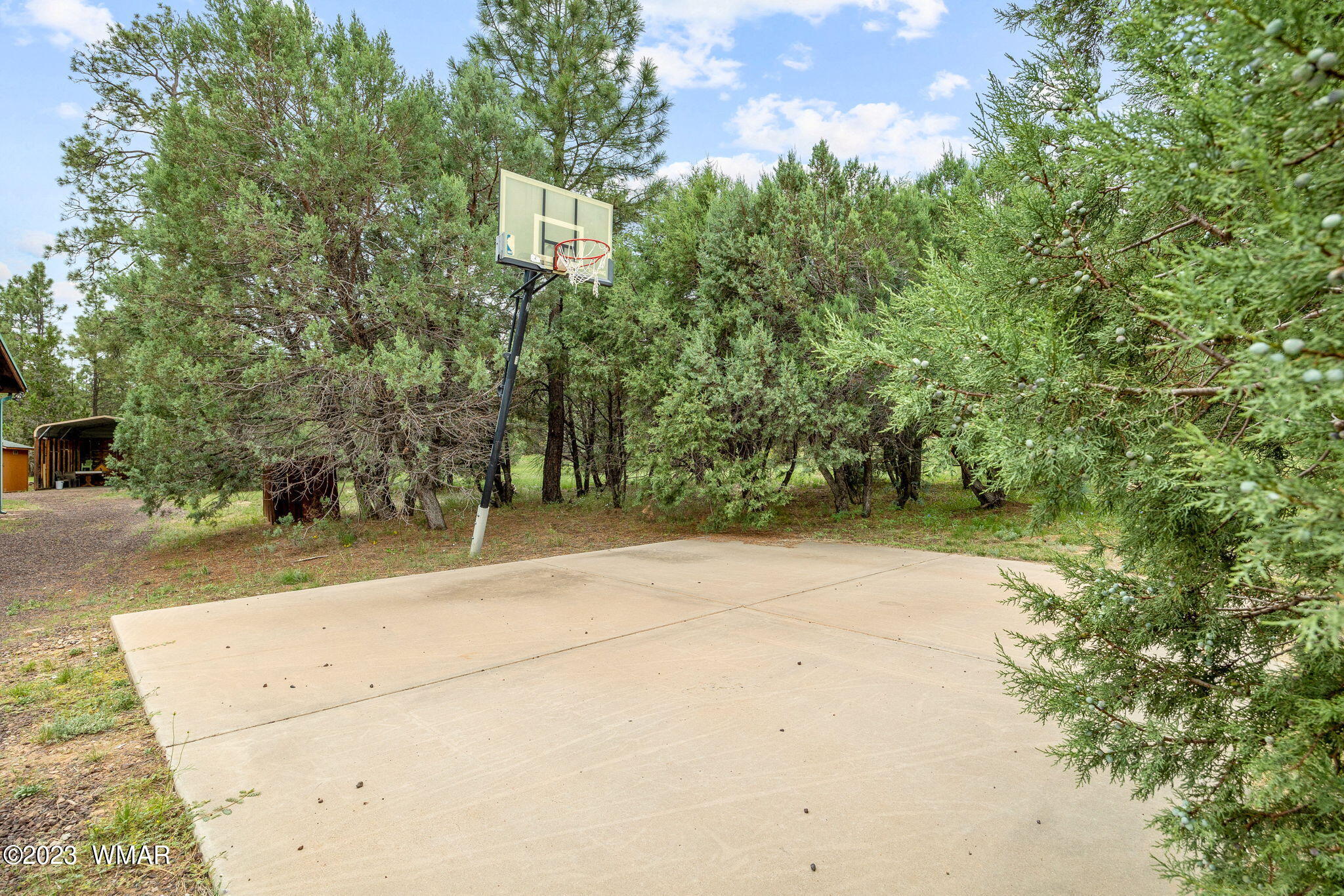 2231 Del Rio Circle Overgaard, AZ 85933 - Photo 30 of 36 a view of a yard with plants and trees
