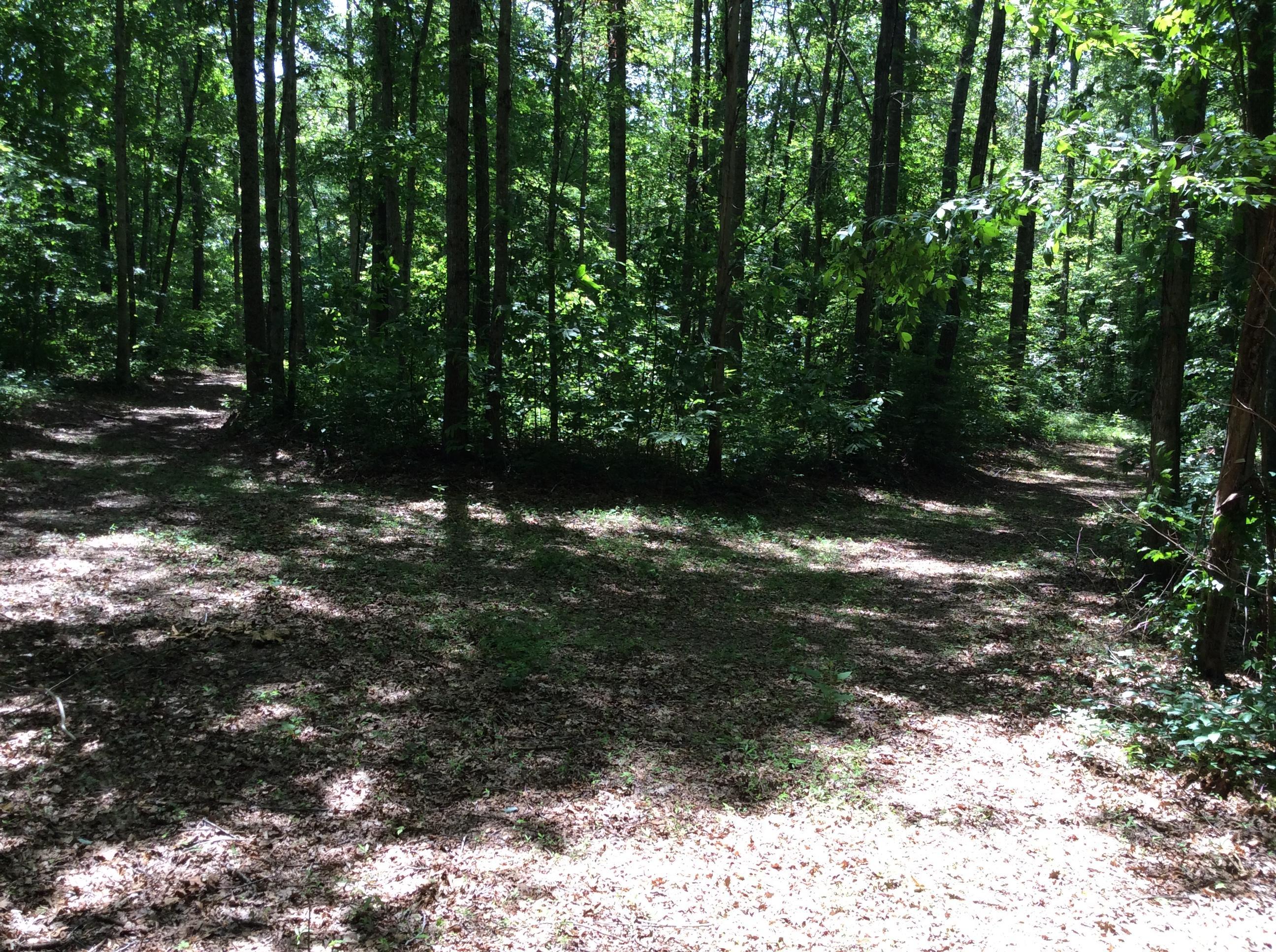 268 Warren Road Science Hill, KY 42553 - Photo 23 of 26 Trail 15