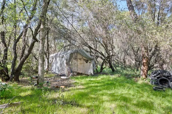 $225,000 | 300 Purple Rock Road, Bangor, CA 95914