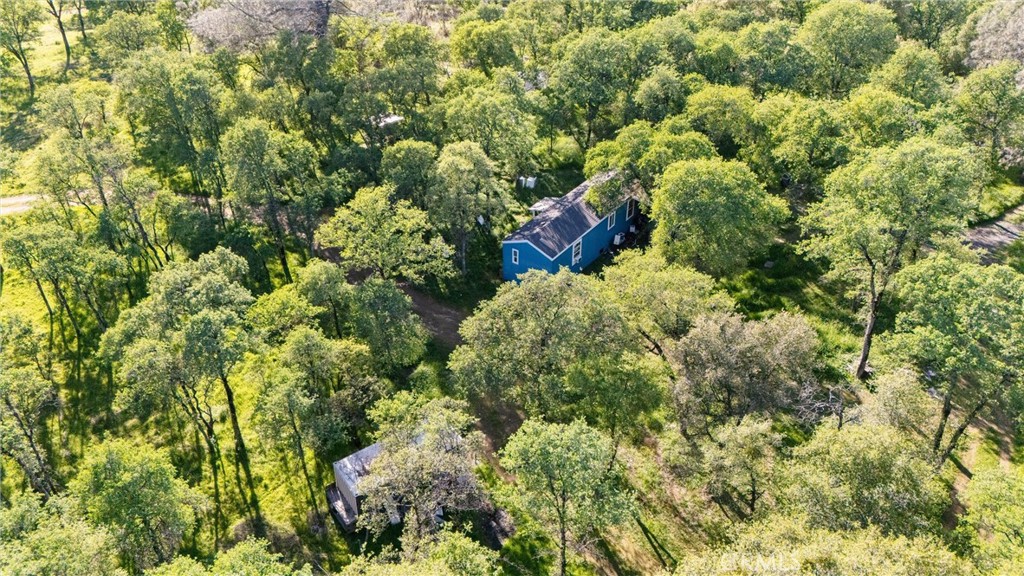 300 Purple Rock Road Bangor, CA 95914 - Photo 40 of 53