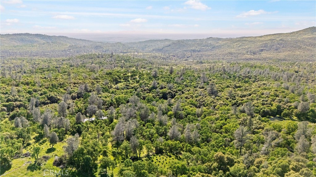 300 Purple Rock Road Bangor, CA 95914 - Photo 49 of 53