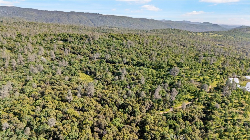 300 Purple Rock Road Bangor, CA 95914 - Photo 51 of 53