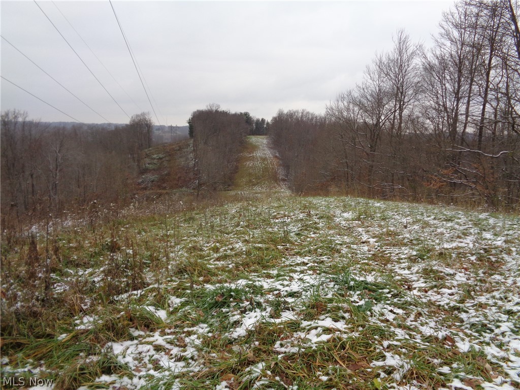 63334 Bobs Run Road Cambridge, OH 43725 - Photo 25 of 30 Gallery Image 25