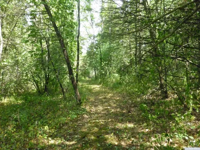 a view of a grassy field with trees