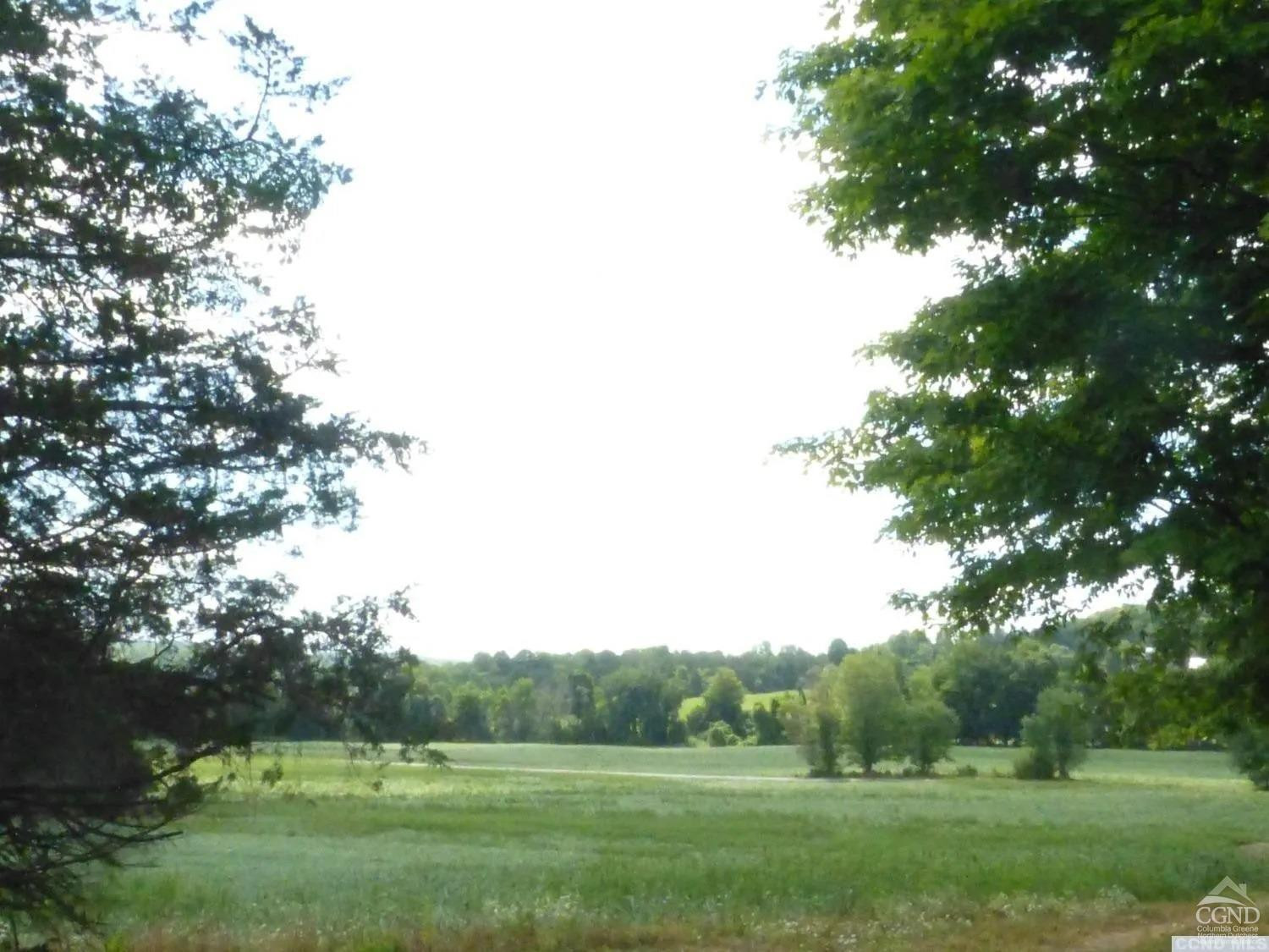 0 Dam Road Pine Plains, NY 12567 - Photo 12 of 25 a view of a grassy field with trees