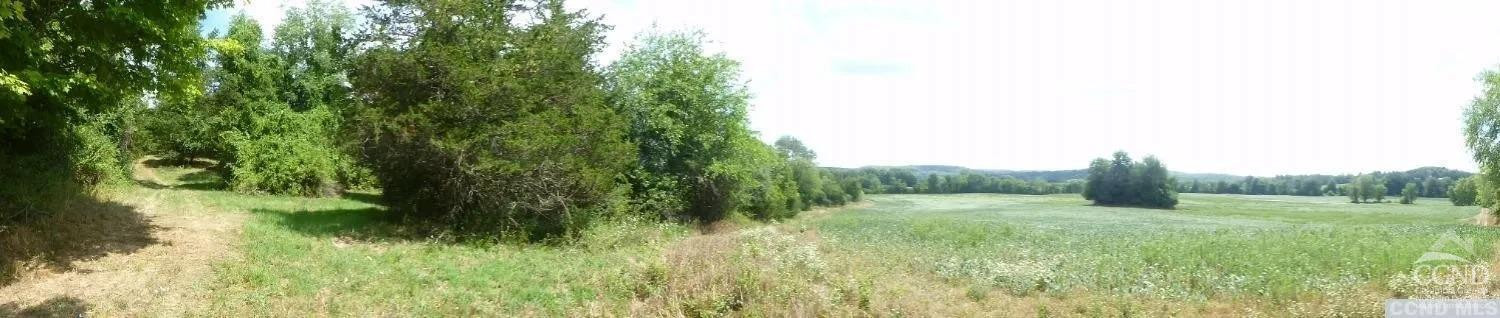 0 Dam Road Pine Plains, NY 12567 - Photo 13 of 25