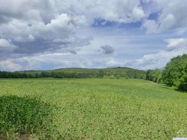 a view of outdoor space and garden