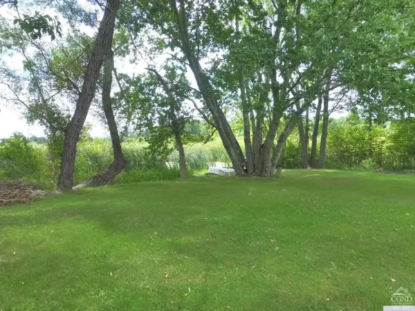 a view of a field with trees in background