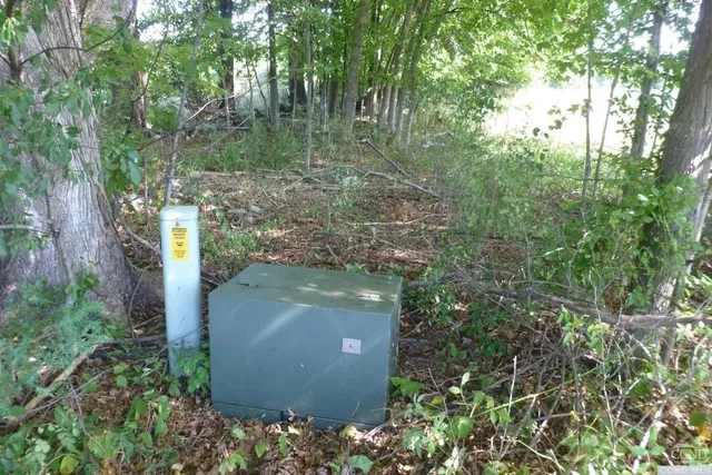 a view of a river and mountains in the background