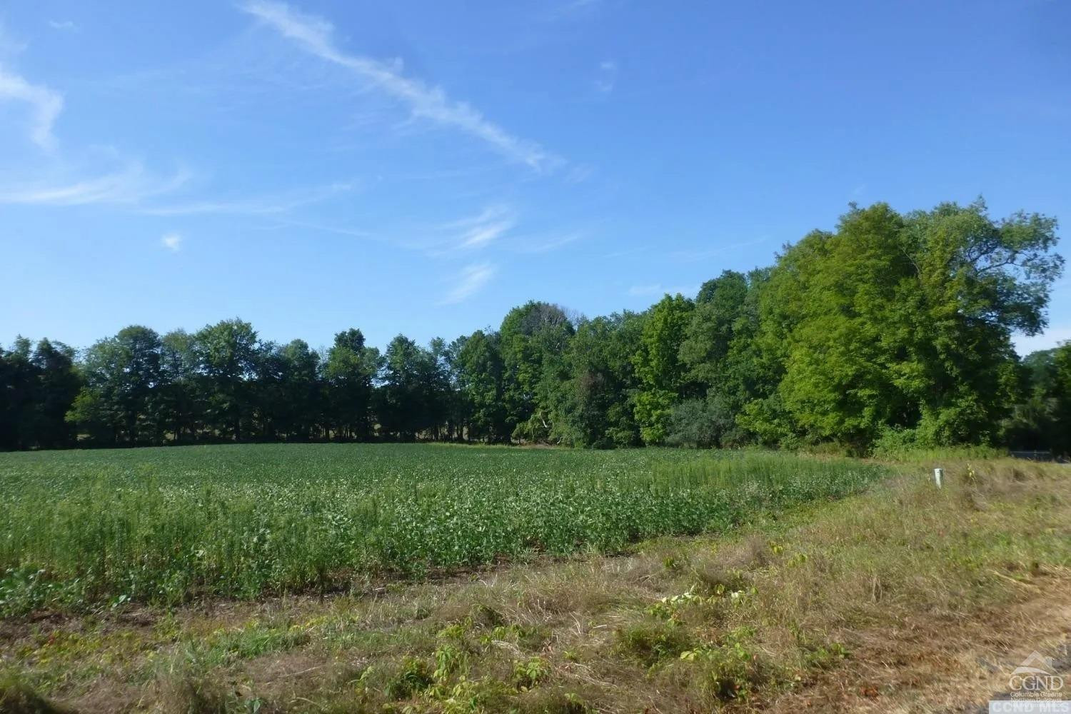 0 Dam Road Pine Plains, NY 12567 - Photo 17 of 25 a view of a field with trees in background