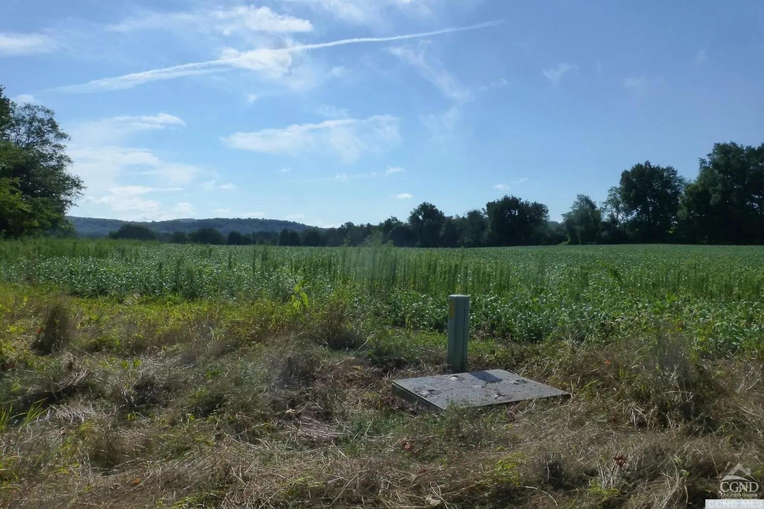 0 Dam Road Pine Plains, NY 12567 - Photo 2 of 25 a view of a garden with an outdoor space